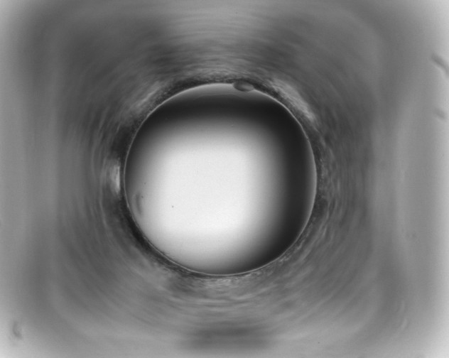 X0000099400021200805081544