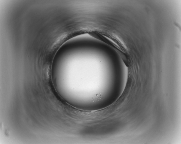 X0000099400023200805081544