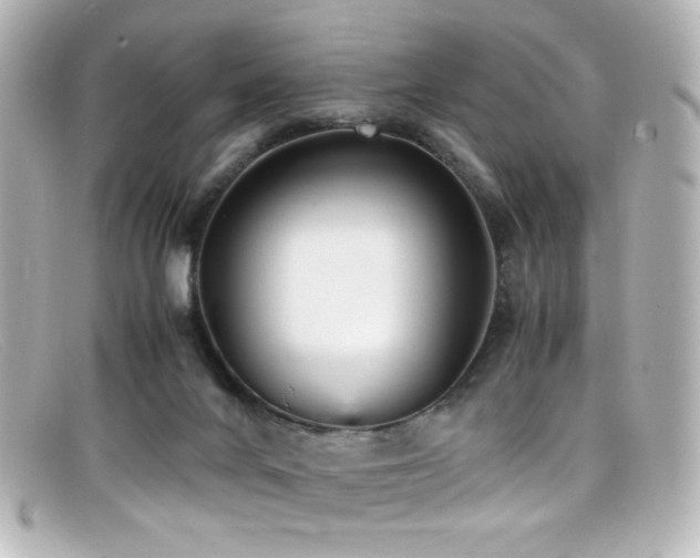 X0000099400024200805081544