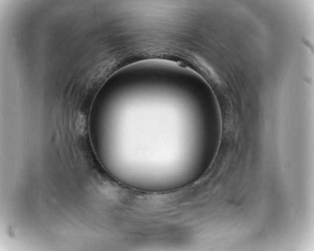 X0000099400025200805081544