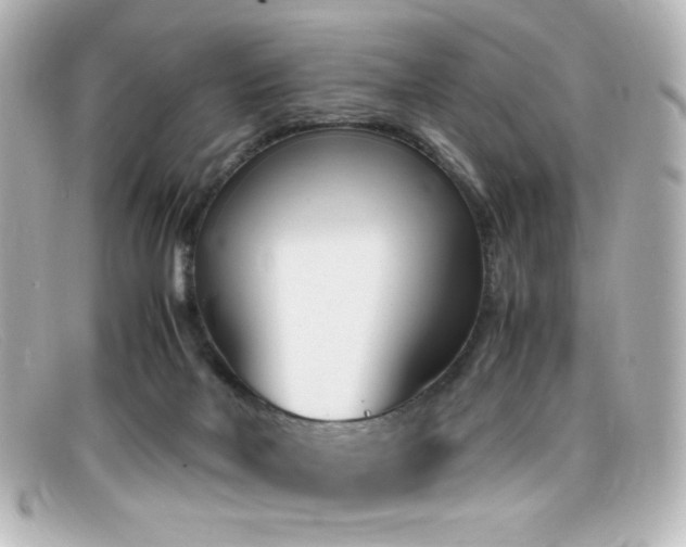 X0000099400026200805081544