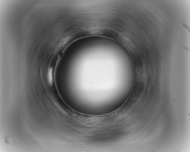 X0000099400028200805081544