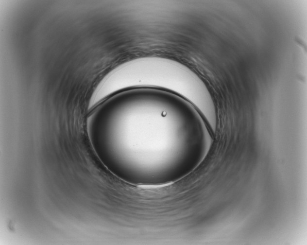 X0000099400030200805081544