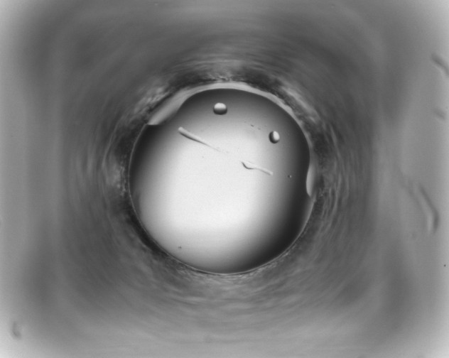 X0000099400031200805081544
