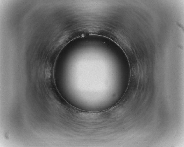X0000099400032200805081544