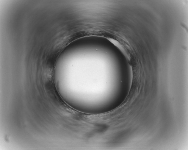 X0000099400033200805081544