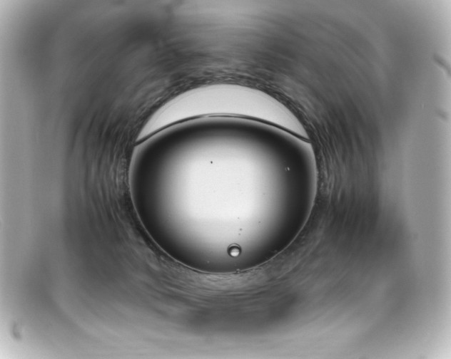 X0000099400034200805081544