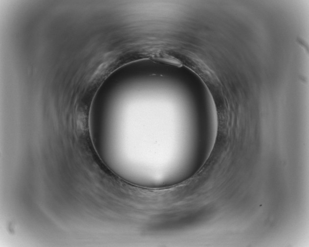 X0000099400035200805081544