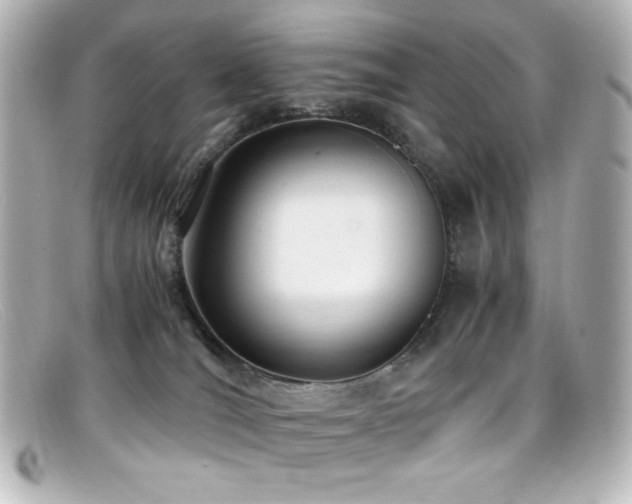 X0000099400036200805081544