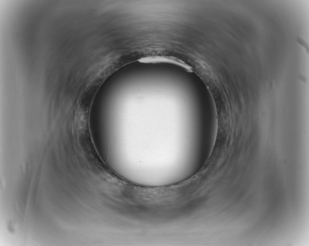 X0000099400037200805081544