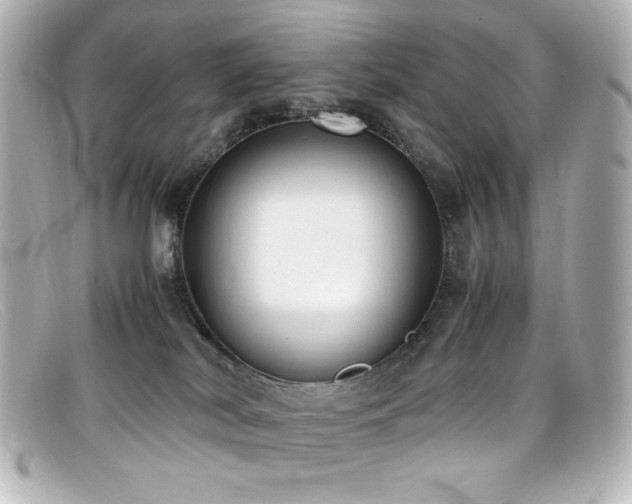 X0000099400038200805081544