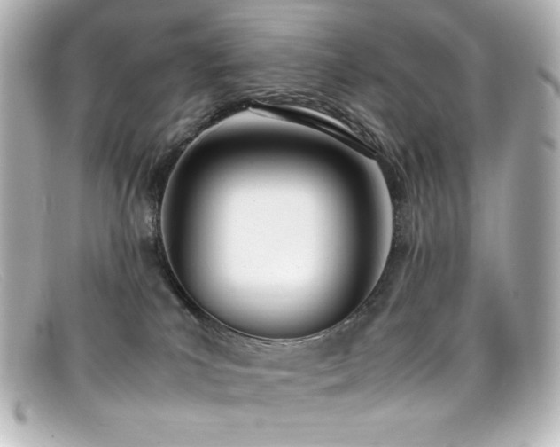 X0000099400039200805081544