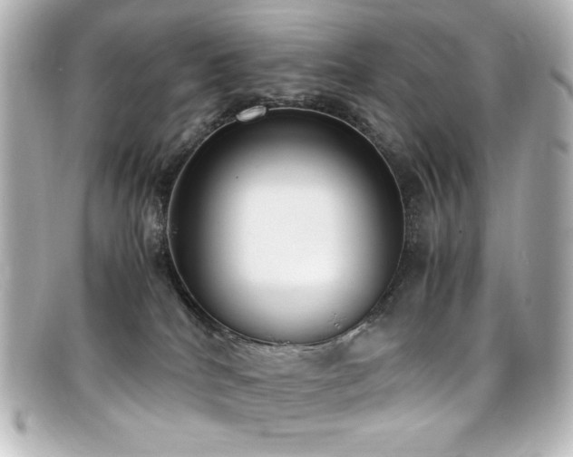 X0000099400040200805081544