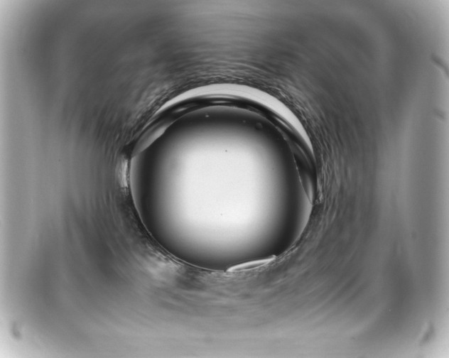 X0000099400041200805081544