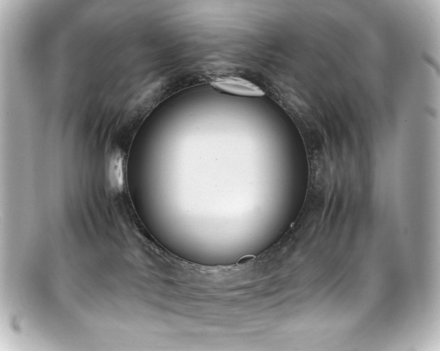 X0000099400042200805081544