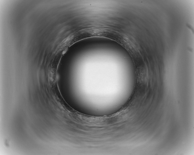 X0000099400044200805081544