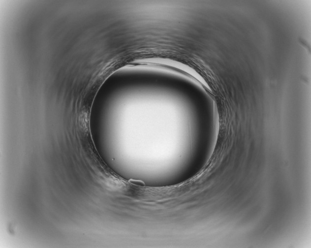 X0000099400045200805081544
