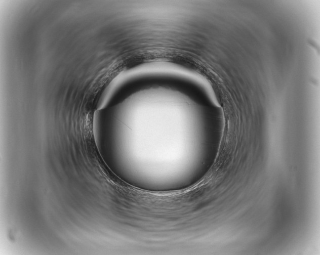 X0000099400048200805081544