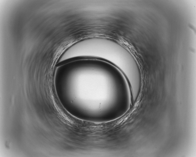 X0000099400049200805081543