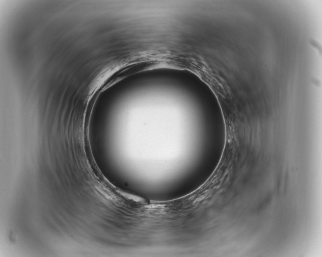 X0000099400052200805081543