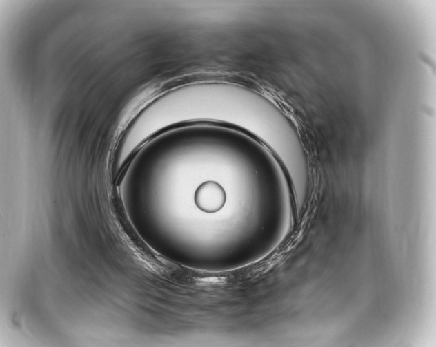 X0000099400053200805081543