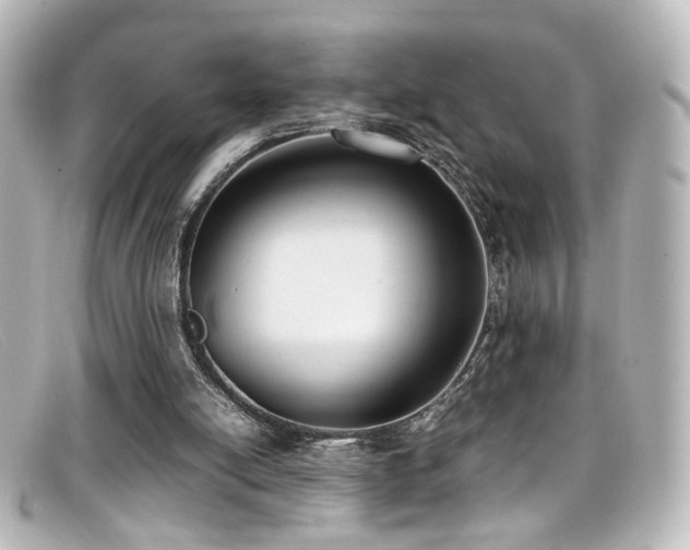 X0000099400054200805081543