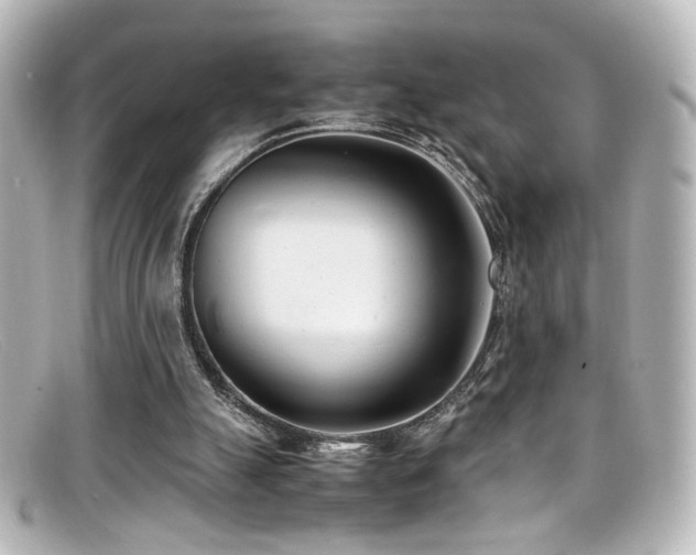 X0000099400055200805081543