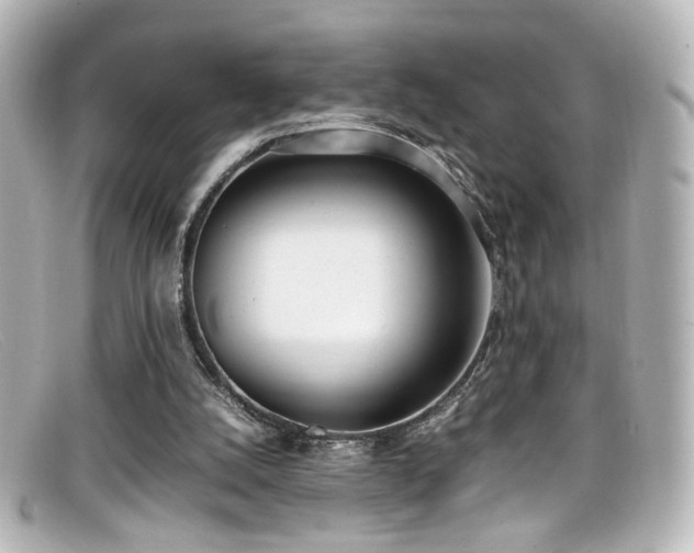 X0000099400056200805081543