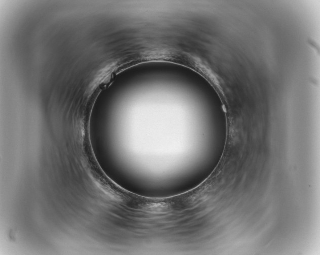 X0000099400059200805081543