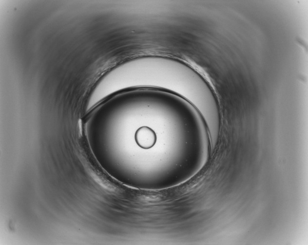 X0000099400061200805081543
