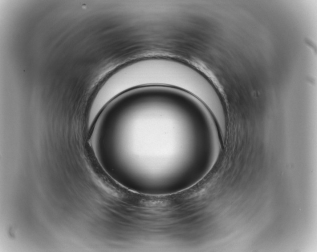 X0000099400063200805081543