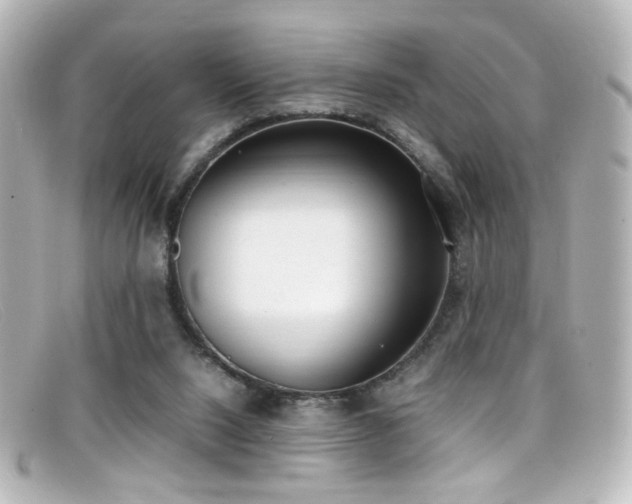 X0000099400064200805081543