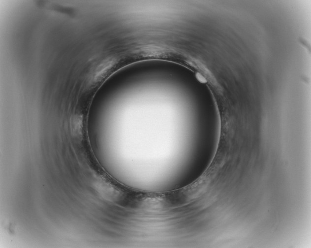 X0000099400066200805081543
