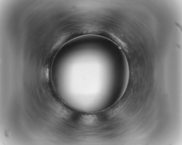 X0000099400067200805081543