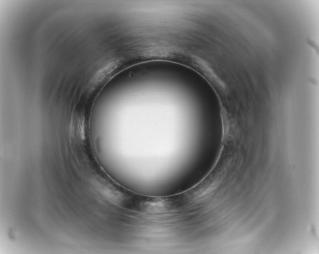 X0000099400068200805081543