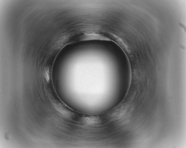 X0000099400069200805081543