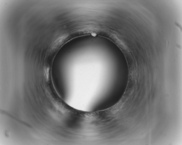 X0000099400070200805081543