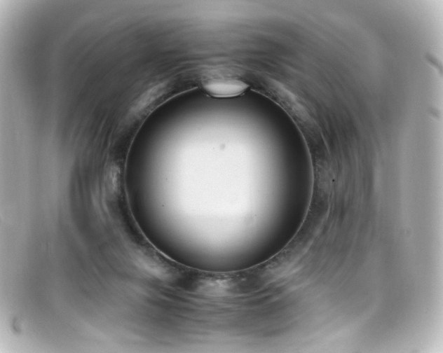 X0000099400071200805081543