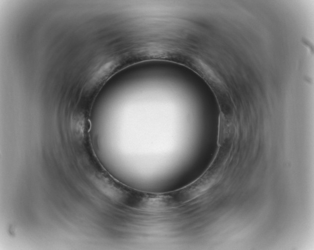 X0000099400072200805081543