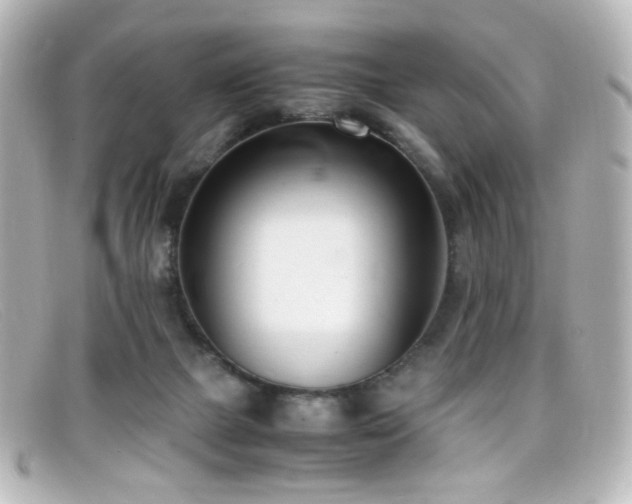 X0000099400073200805081543
