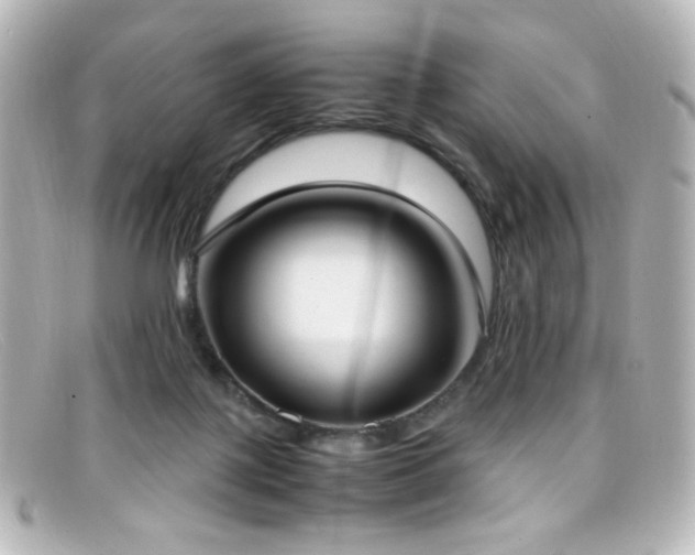 X0000099400075200805081543