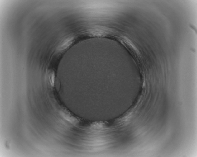 X0000099400076200805081543