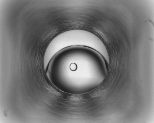 X0000099400077200805081543
