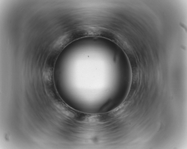 X0000099400078200805081544