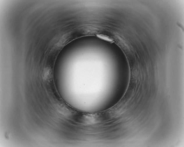 X0000099400079200805081544