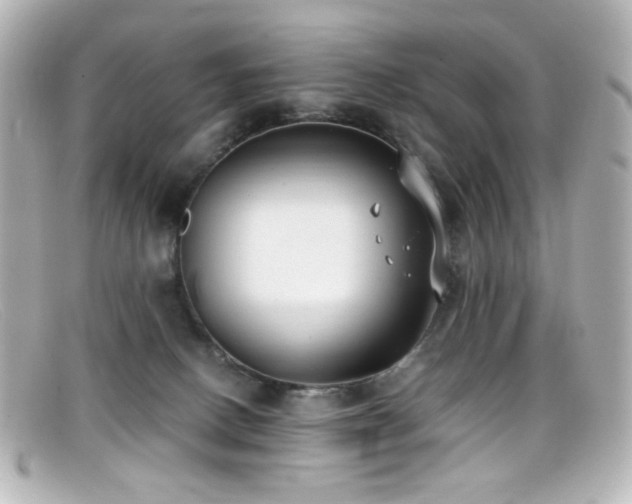X0000099400082200805081544