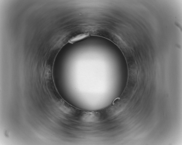 X0000099400083200805081544