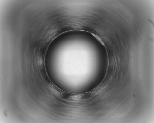 X0000099400084200805081544