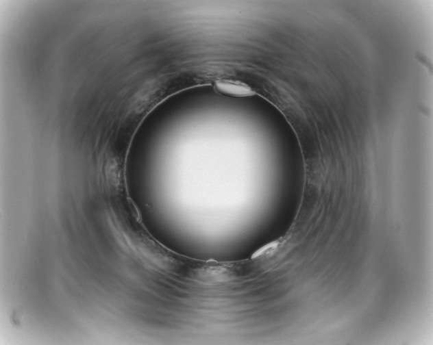 X0000099400086200805081544