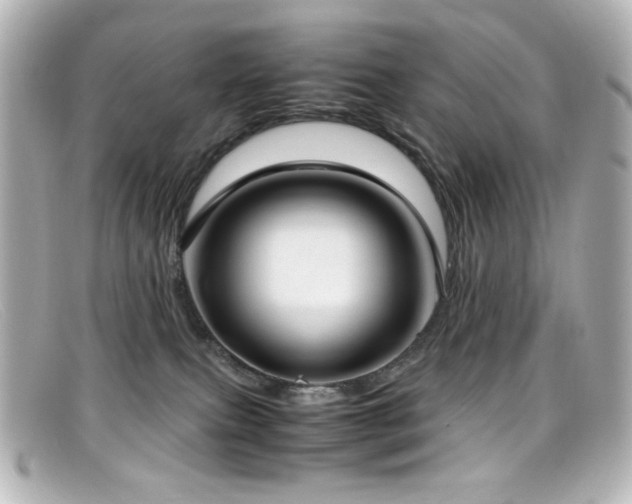 X0000099400087200805081544